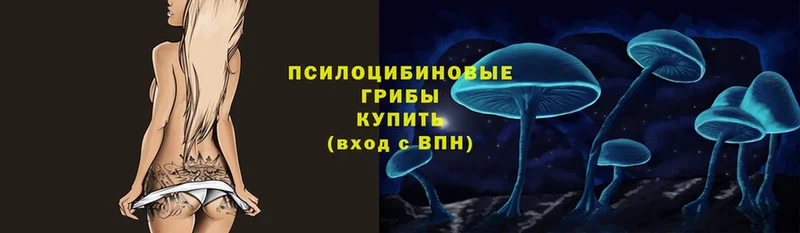 мега tor  Нефтегорск  Псилоцибиновые грибы MAGIC MUSHROOMS 